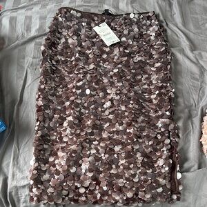 Zara Sequin Embellished Skirt in Brown